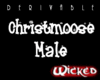 DER Christmoose - Male