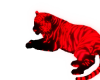 [Mae]Tiger Red w Pose