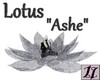 ~Tz~ Lotus "Ashe"