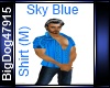 [BD] Sky Blue Shirt(M)