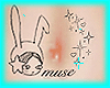 tummy muse tatto
