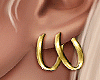 Tang Gold Earrings