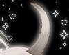 NNN.Siamese Puppy Tail