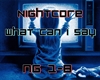 Nightcore what can i say