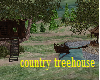 country Tree house