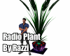 R© Radio Plant Global