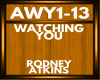 rodney atkins AWY1-13