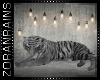 [Z] Safari Tiger V1