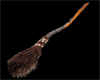 witch broom		