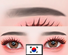 Korean Perfect Brows