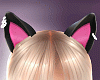 Sweet Cat Ears