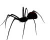 animated spider 