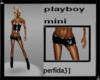 playboy  mini