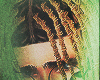 Travis Braids Blonde