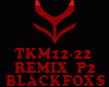 REMIX - TKM12-22 - P2