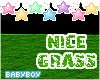 B| Kids Nice Grass Field