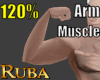 Arm Muscle 120%