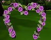 A~Rose Wedding Arch