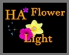 [HA]Flower Light