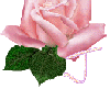 Pink Rose Alphabet - J