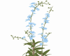 Flowers 7