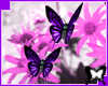 2 Amathyst Butterflies