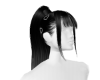 NUT. ELMA V