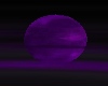 moon Purple