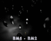 Q| BW Boom