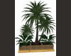 Palm planted deco