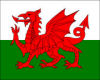 G* Wales Flag Pole