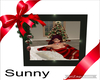 *SW* Christmas Pic