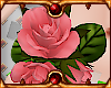 RP Chizuru Kagura Roses