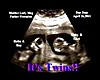 Lady Meg Ultrasound Pic