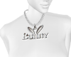 BunnyCust