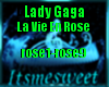 L. Gaga - La Vie En Rose