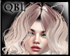 Dolly Bundle