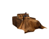 Cuddle Chair w Blanket