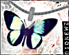 ! Butterfly necklace