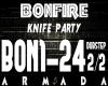 Bonfire-Dubstep (2)