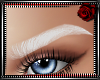 https://userimages02-akm.imvu.com/productdata/images_ed0399a1285a485dc4f6375a7e3ea1d0.png
