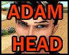 Adam Head Small