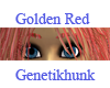 Golden Red Female Brows