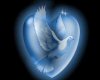Blue Heart Dove