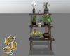 1606  Flower Laddler