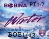 bobina-winter
