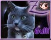 [Z] Gulli guardian cat