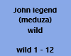 John legend wild