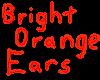 bright orange fox ears