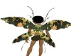 "Black Butterfly" wings